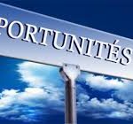 Emplois : quatre opportunités à saisir  pour des contrats avec…