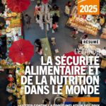 Rapport de l’ONU sur l’état de la sécurité alimentaire et de la nutrition dans le monde en 2025 : des progrès réalisés, défis à relever, l’Afrique encore à la  traîne…
