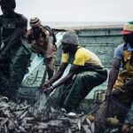 Afrique de l’Ouest : le Bénin, quatrième pays le plus dépendant des pêcheries continentales