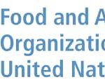 FAO : un appel à candidatures lancé pour le Prix de l’Innovation dans les Systèmes Agroalimentaires