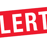 Fausses offres d’adoption d’enfants sur TikTok : l’ACAIB met en garde contre une escroquerie