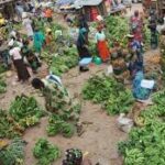 Afrique : seuls trois pays disposent de systèmes alimentaires réellement résilients en 2026