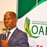 Innovation : l’OAPI et l’OMPI lancent un réseau régional de CATI pour booster la compétitivité