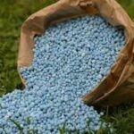 Campagne agricole 2026-2027 : le gouvernement béninois débloque plus de 31 milliards FCFA pour maintenir les prix des engrais