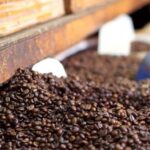 Café africain : les “outsiders” passent à l’offensive pour reconquérir le marché