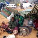 Somalie : près de 6 millions de personnes menacées par la faim