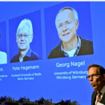 Nobel de médecine 2026 : trois chercheurs récompensés pour leurs avancées sur le cerveau