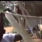 Bénin : à Comè, des fibres de bananier transformées en mèches biodégradables